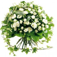 /album/ramos-y-rosas/ramo9-jpg/