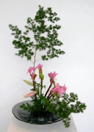 IKEBANA MEDITERRANEO