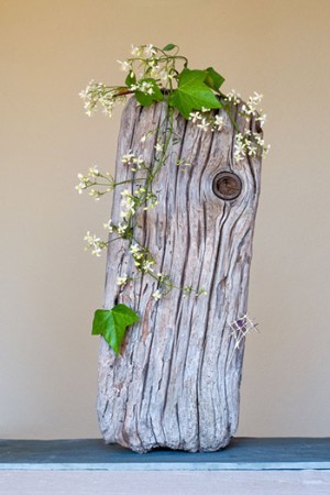 IKEBANA EN TRONCO